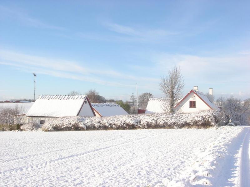Bulbrovejs Bed & Breakfast Havdrup Exterior foto